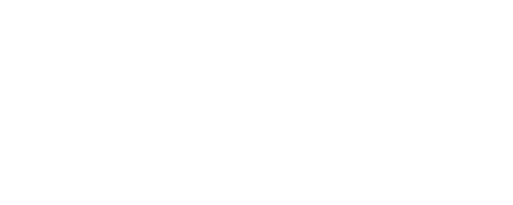 Dr Esma Sonmez