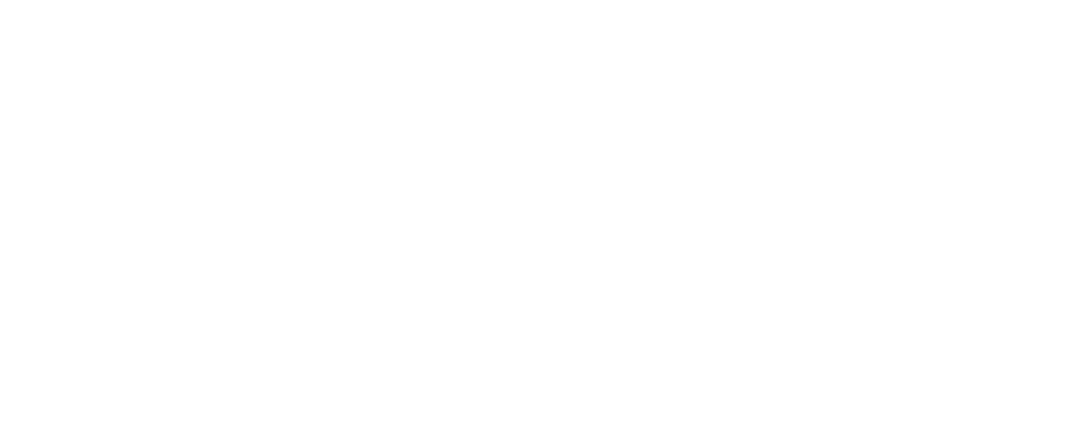 Dr Oznur Dundar Akin